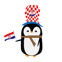 Football Soccer Sticker by Dječja TV