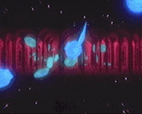 Loop Glitch GIF by lazy at churches