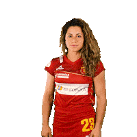 RFEH iberdrola rfeh redsticks hockey españa Sticker