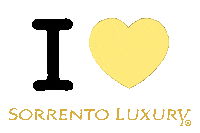 Discoveri Sticker by Sorrento Luxury