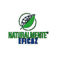 Kento Kentô Kentoagro Sticker by Kentô Agro