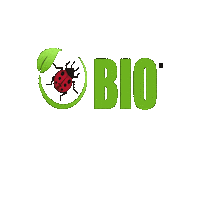 Kento Kentoagro Kentô Sticker by Kentô Agro