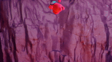 Fall Guys Was Ejected