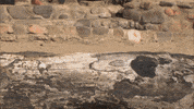 Water Love GIF by Bachelor in Paradise