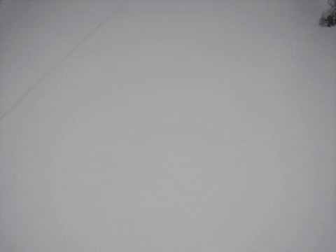 shawnfff giphygifmaker giphygifmakermobile GIF