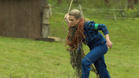 Euskara GIF by EiTB