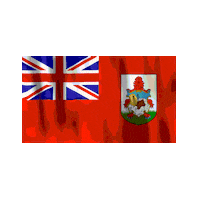 Flag Bermuda Sticker by Bermemes