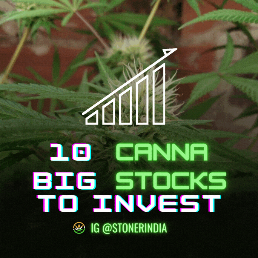 stonerindia giphyupload cannabis industry cannabis stocks cannabis investor GIF