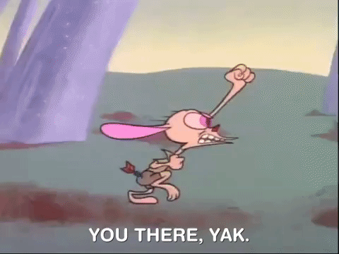 ren and stimpy nicksplat GIF