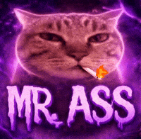 Cat Nana GIF