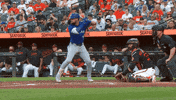 Home Run Baseball GIF by Toronto Blue Jays