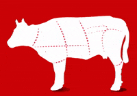 FlorCeleste vegan GIF