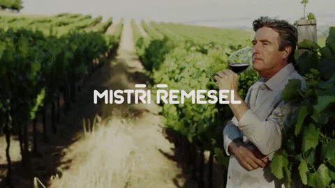 MEDIATELCZ giphyupload zs mediatelcz zlatestranky GIF