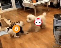 Press Release Fight GIF by Web3 Newswire