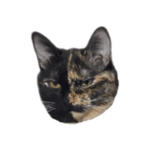 Cat No Sticker