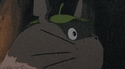 my neighbor totoro GIF