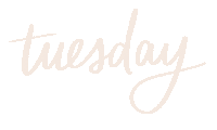 Taco Tuesday Sticker by Lizzie Jacklyn