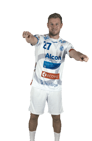 tvgrosswallstadt giphyupload handball jubel großwallstadt Sticker