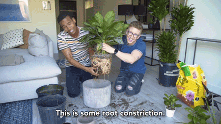youtube house GIF by tyler oakley