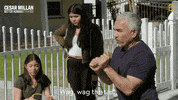 Dogwhisperer GIF by National Geographic Channel