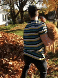 Game Omg GIF by JustViral