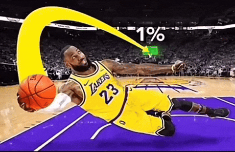 Lebron James GIF