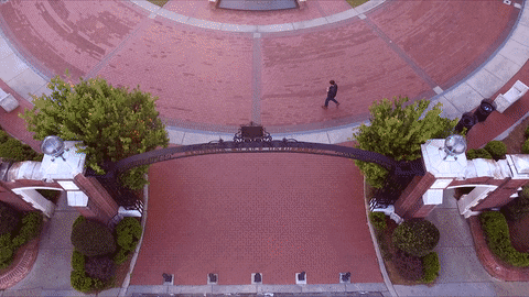 college tour GIF by Florida State University