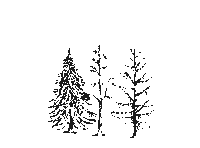 Coffee Time Art Sticker