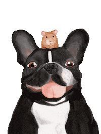 Dog Brandy Sticker