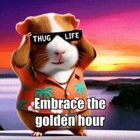 Sun Peace GIF by Guinea Gambino