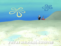 season 6 episode 10 GIF by SpongeBob SquarePants