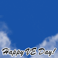 Lest We Forget Victory GIF by TeaCosyFolk