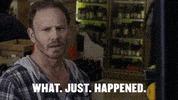 ian ziering wtf GIF by SYFY