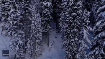 Drone Captures Picturesque Scenes of Utah's Snow-Covered Big Cottonwood Canyon