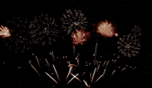 Happy New Year GIF by Vinnie Camilleri