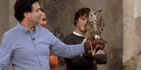 television cocina GIF by MasterChef España