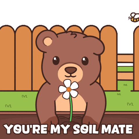 Teddy Bear Flower GIF by BEARISH
