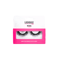 Falselashes Lash Sticker by LashBase