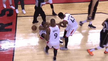 Toronto Raptors Help GIF by NBA