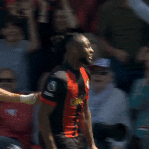 Happy Premier League GIF by AFC Bournemouth