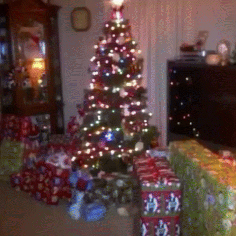 Christmas Winter GIF by Respective