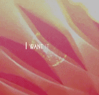 Lyric Video GIF by The Weeknd