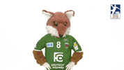 Handball-Bundesliga Berlin GIF by LIQUI MOLY HBL