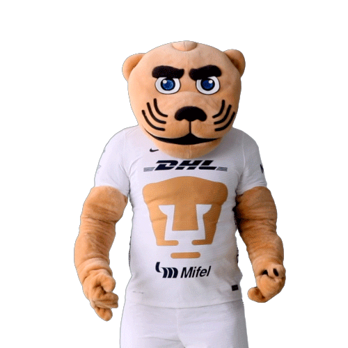 Happy Soccer Sticker by Pumas MX