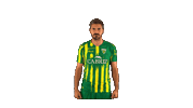 Liga Nos Sticker by CD Tondela