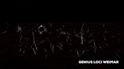 Architecture Mirror GIF by Genius Loci Weimar