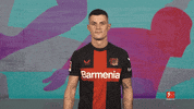 Bayer Leverkusen Hello GIF by Bundesliga