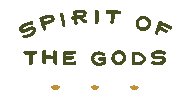 Spirit Agave Sticker by Metoro mezcal