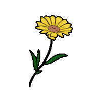 Flower Dandelion Sticker