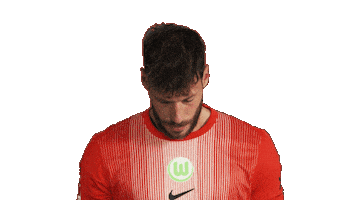 Look Up Vfl Wolfsburg Sticker by Bundesliga